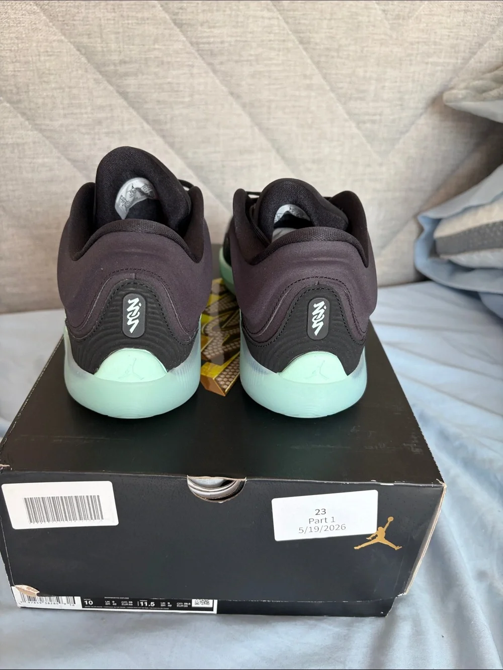 Jordan Zion 4